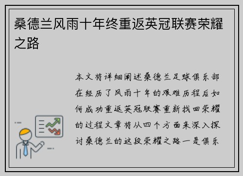 桑德兰风雨十年终重返英冠联赛荣耀之路